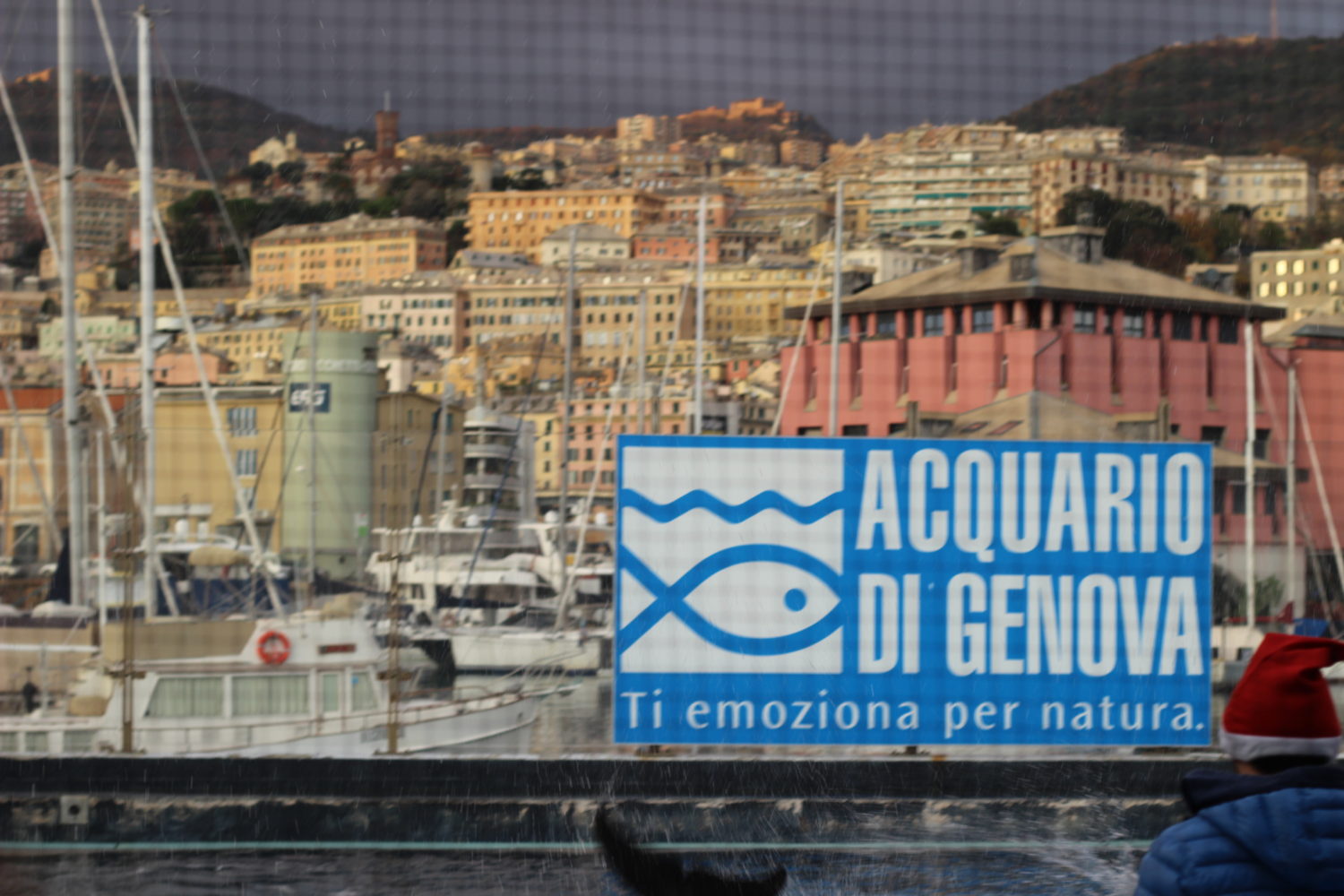Acquario di Genova notizie
