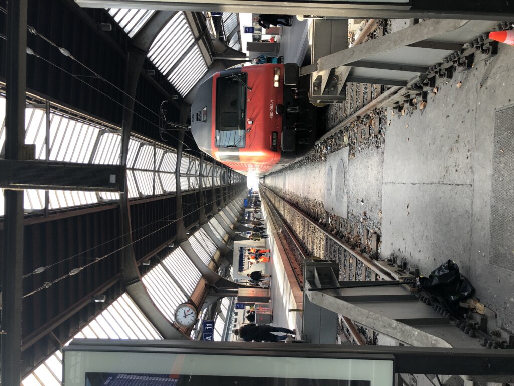 prenotare biglietti del treno online