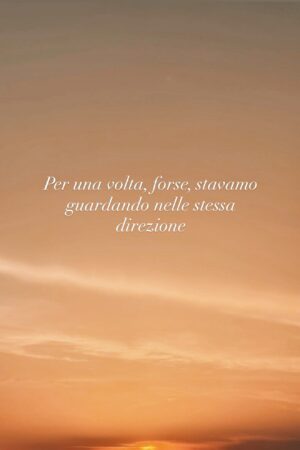 00f65a96-f9a9-4966-83d2-793ffb077672